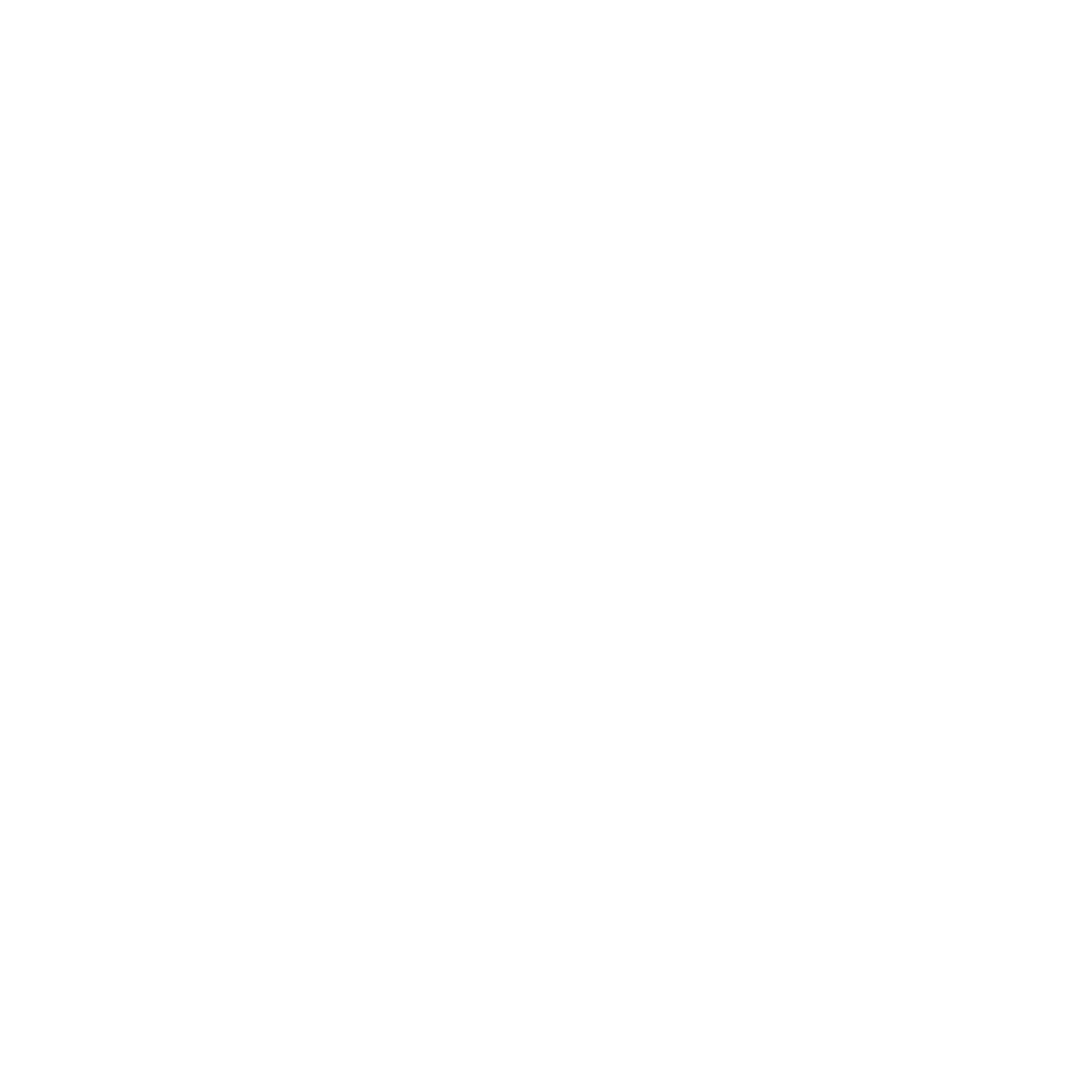 Logo Bellone assainissement blanc